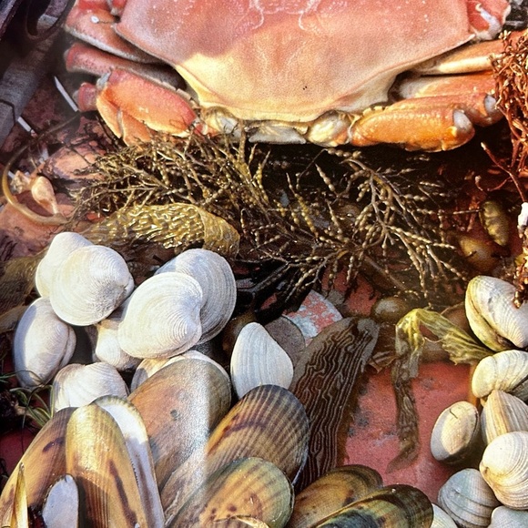 First Paperback Edition 1984 Martha Stewart’s Hors d’ Oeuvres. - Picture 6 of 10